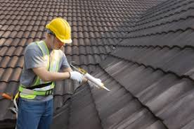 Best Roof Moss and Algae Removal  in Woodlands, CA